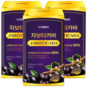 [정품] 자보티카바 Jaboticaba 정, 3개, 120정