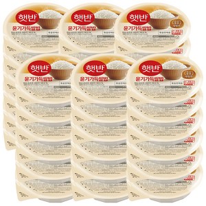 햇반 윤기가득쌀밥, 210g, 36개