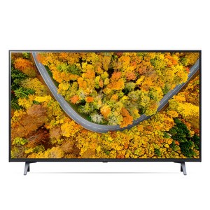 LG전자 4K UHD LED TV, 125cm(50인치), 50UR342C9NC, 스탠드형, 방문설치
