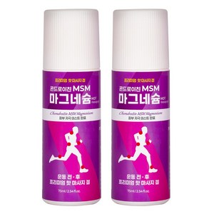 콘드로이친 MSM 마그네슘 근육마사지 글루코사민 바르는파스, 2개, 1개입