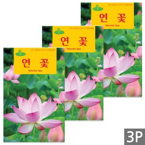 세인화분 연꽃 10립 - 꽃씨 꽃씨앗 씨 씨앗, 3개