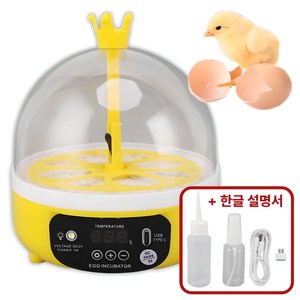 가정용 4구 계란 병아리 부화기 필요회복, 1개, 화이트