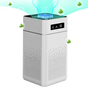 YAJOM 스마트 저소음 공기청정기 음이온 순환청정 살균 원룸 가정용 공기청정기 미세먼지 냄새제거 반려동물 청정기, 화이트, TC-003
