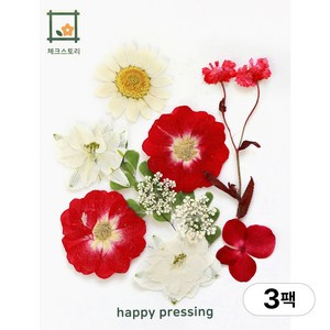 체크스토리 압화 컬러가든시리즈 누름꽃 꽃송이 압화재료 공예, 레드10(3팩), 레드