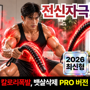 라이프발란스[10분이면 운동끝] 고강도 전신운동 전문가용 배틀로프 무소음, 1세트, 매트블랙