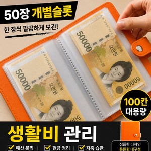 브로미 현금바인더 100칸 저축챌린지 다이어리 생활비 예산관리 캐시스터핑, 1개, 오렌지