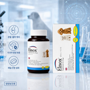 엘녹스 강아지 망병기 영양제 시니어 노령견 영양제 강아지 올인원 영양제, 1개, 종합영양제, 80정