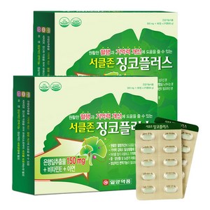 일양약품 서클존 징코플러스, 120정, 2개