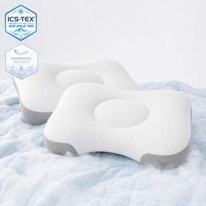 라인홀트 아이스실크 다운필 베개솜 냉감 쿨링 두피열 깊은잠 경추 베개, 2개, 화이트