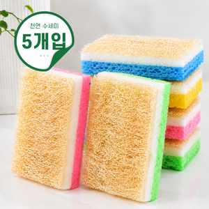오픈홈 양면 천연수세미 친환경 무흠집 버블, 5개, 1세트