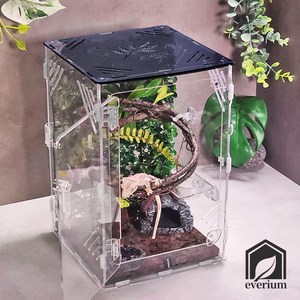 에버리움 크레스티드 게코 도마뱀 아크릴 사육장 세트 - 소형 20x20x30cm, 1세트, 미드나잇