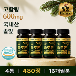 Dr. NUGA 국산 솔잎 추출물 솔로몬 정, 4세트, 120회분