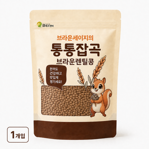 통통잡곡 2025년 캐나다산 브라운 렌틸콩, 1개, 1.5kg