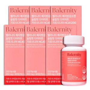 밸러니티 체지방감소엔 슬림핏 가르시니아 다이어트 보조제 HCA1200, 6개, 90정