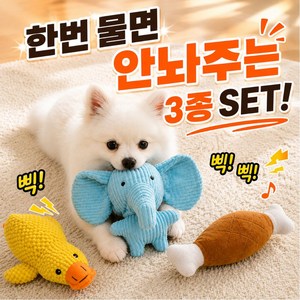 베이스핏 소리나는 이갈이 강아지 장난감, 1세트, 혼합색상