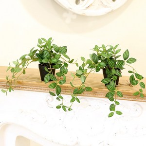 인테리어 조화 행잉플랜트 벽장식 가랜드 뉴행잉넝쿨화분, 1세트, 뉴행잉넝쿨화분 페페 2P
