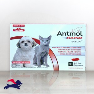 안티놀 래피드 30정 (강아지 고양이 관절영양제), 뼈/관절강화, 1개