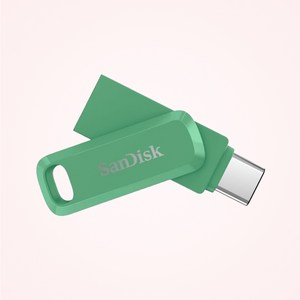 샌디스크 USB 메모리 DDC3 그린 C타입 OTG 3.2 대용량, 1TB, 1개