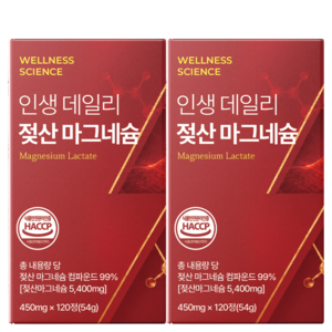 웰니스 사이언스 젖산 마그네슘 100% 정품 HACCP 인증 시설 제조, 2박스, 120정