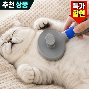 아임드 반려동물 원터치 브러쉬, 블루, 1개