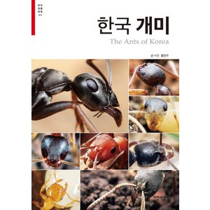 한국 개미, 자연과생태, 동민수 저