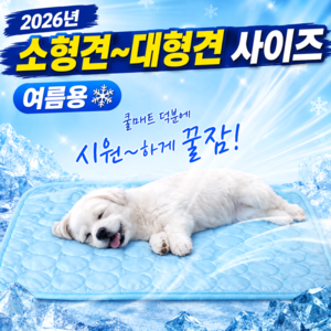 펠코스 강아지 쿨매트 방석 애견, 블루, 1개