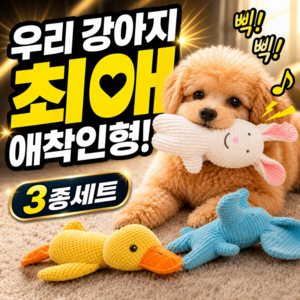 디오벨러 삑삑이 애착인형 강아지 장난감, 동물, 3개