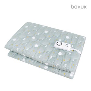 보국전자 꿀잠 안심세탁 전기요 BKB-8612D, 혼합 색상, 더블(135 x 180 cm)