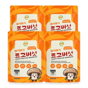 표고버섯칩 표고버섯과자 간식 건강 다이어트 간식 어린이 간식 핑거푸드, 4개, 30g