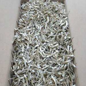 [백송식품]품질좋은 국내산 햇 가이리멸치 1.5kg 저염 볶음멸치, 1개