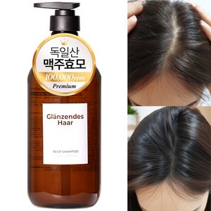 글랜젠데스 하르 독일 맥주효모 100000ppm 두피 쿨링 탈모샴푸 홈쇼핑 완판 탈모완화 두피케어솔루션, 1개, 500ml