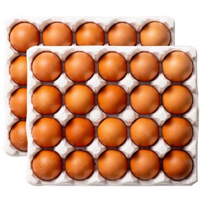 HACCP 난각번호 1번 자연방사 유정란, 1개, 40구 골드박스 특가