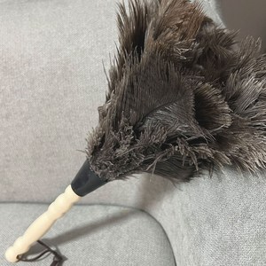 마이홈 타조털 먼지떨이, 1개, 단일