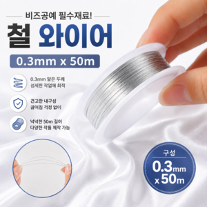 이즈앤코 비즈공예 부드러운 철 와이어 0.3mm x 50m, 1개, 실버