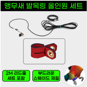 베리온스 초간편 앵무새 발목링 리드줄 산책 훈련 키트, 1세트, 레드 7호