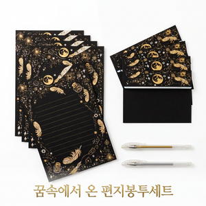 담하온 꿈속에서 온 편지 별빛 깃털 블랙 금박 편지지 봉투 감성 레터 세트, 1개, Dream