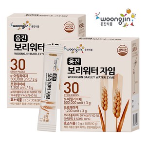 웅진 보리워터 자임 효소스틱 30포 보리차 가루 하늘 블랙, 2개, 90g