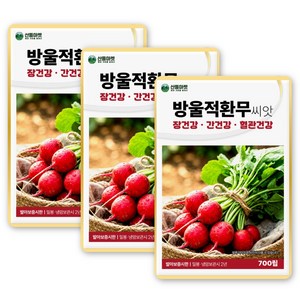 산들 방울 적환무씨앗 700립 수확량 많고 빠른 수확 가능 적환무씨 종자, 3개
