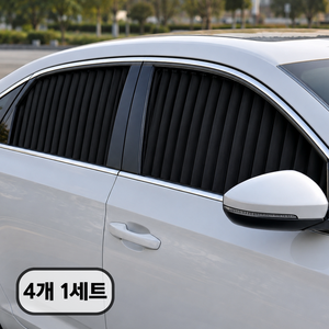 바이빈이 자석 레일형 햇빛가리개 차량용커튼, 1세트, 블랙