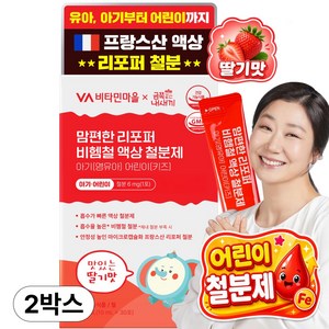 비타민마을 금쪽같은내새끼 맘편한 리포퍼 비헴철 액상 철분제 아기 키즈 영유아 어린이, 60개, 10ml