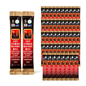 6년근 홍삼 스틱 진액 실속형 끝판왕 에브리데이 플러스, 50개, 10ml