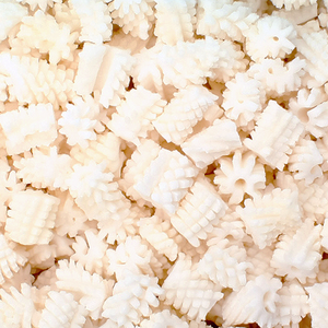 솔방울오징어 5kg 벌크 냉동 손질 대왕오징어 도매용 업소용, 1개