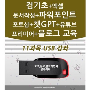 11종 컴퓨터 기초 배우기 교육 + 엑셀 활용 강좌+ 파워포인트+ 문서작성+챗gpt+포토샵+유튜브 유튜버+프리미어 프로 동영상 편집 +네이버 블로그 책 교재 서적 좋은 usb
