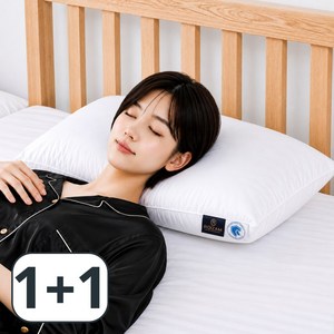 로이잠 포근한 숙면 호텔 베개, 2개, 엣지화이트