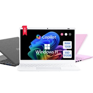 다오북 14N15-12 N150 12GB 14인치 1.32kg 윈도우11 노트북, 화이트, 512GB, WIN11 Home