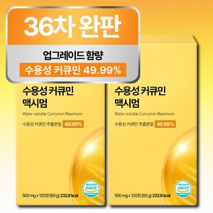 [4개월분] 강황 수용성 커큐민 식약청 HACCP 인증 (대용량), 2개, 120정