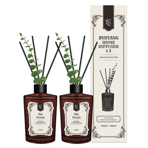 바이향 대용량 홈 디퓨저, 2개, 510ml, 스카이오션