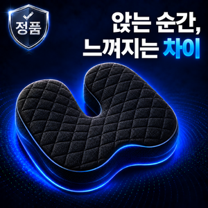 디오벨러 기능성 메모리폼 엉덩이 꼬리뼈 방석, 메쉬 블랙
