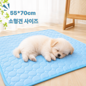 마노르 반려동물 아이스 쿨매트 소형, 1개, 블루