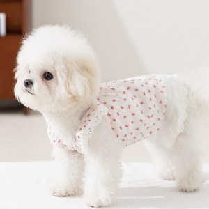 Coablu 강아지 고양이 플라워 리본 민소매 원피스 얇은 통기성, 1개, 흰색